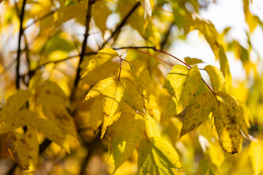 Similar image 21696363