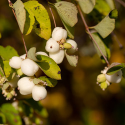 Similar image 21696364