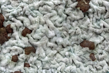 Similar image 21697413