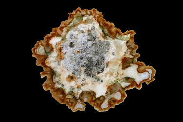 Similar image 21697418