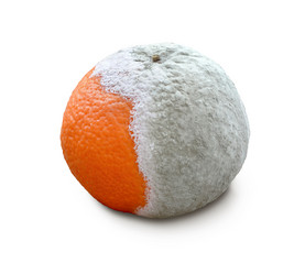 Similar image 21697419