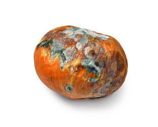 Similar image 21697420