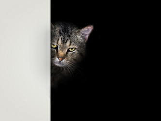 Similar image 21696001