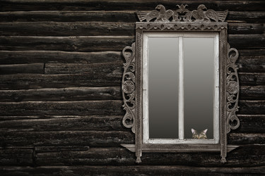 Similar image 21696011