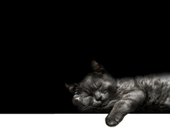 Similar image 21696015