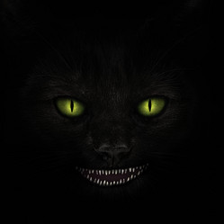 Similar image 21696032