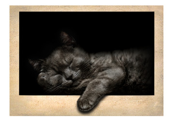 Similar image 21696042