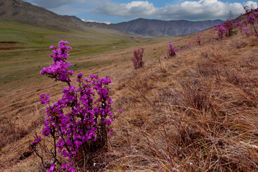 Similar image 21696368