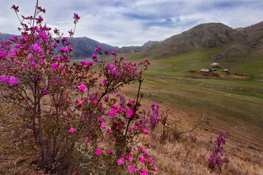 Similar image 21696372