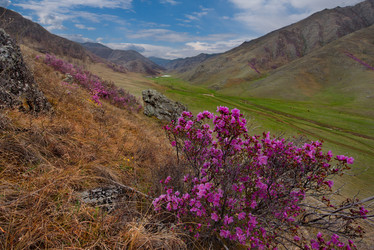 Similar image 21696376