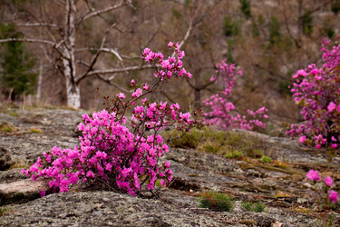 Similar image 21696377