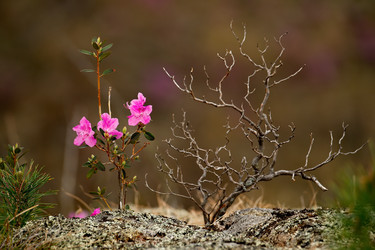 Similar image 21696379