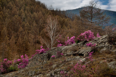 Similar image 21696381