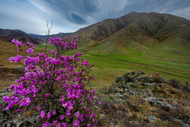 Similar image 21696384