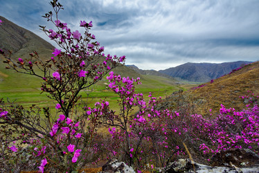 Similar image 21696386