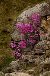 Similar image 21696387