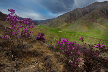 Similar image 21696388