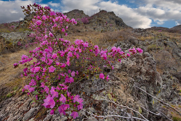 Similar image 21696390