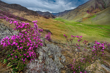 Similar image 21696392