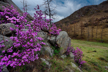 Similar image 21696394