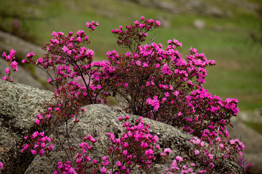 Similar image 21696395