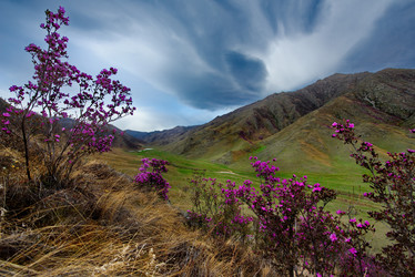 Similar image 21696396