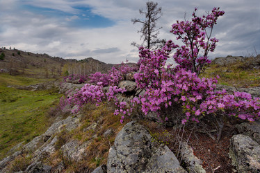 Similar image 21696398