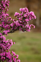 Similar image 21696399