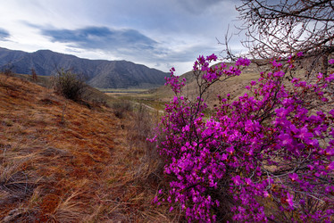 Similar image 21696401