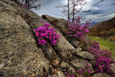 Similar image 21696402