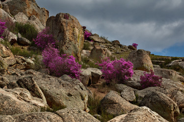 Similar image 21696403