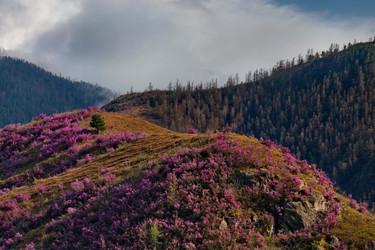 Similar image 21696404