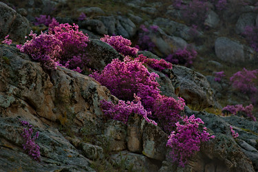 Similar image 21696408