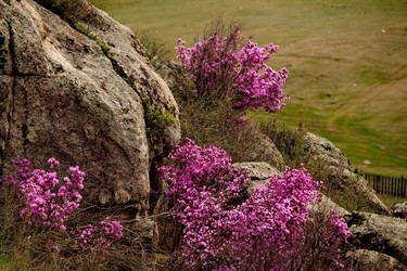 Similar image 21696409