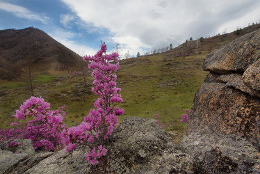 Similar image 21696410