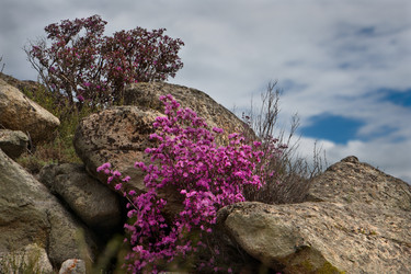 Similar image 21696411