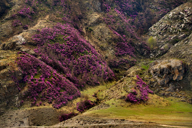 Similar image 21696415