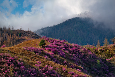 Similar image 21696422