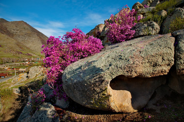 Similar image 21696424