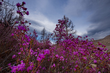 Similar image 21696427