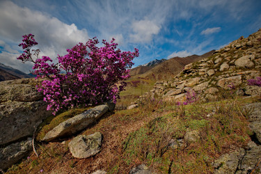 Similar image 21696428