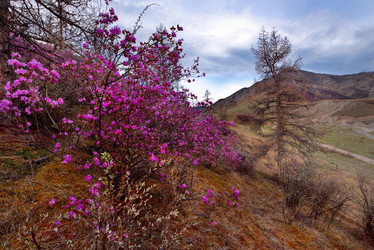 Similar image 21696429