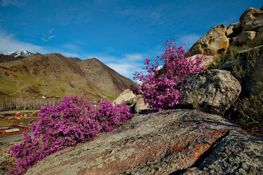 Similar image 21696432