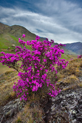 Similar image 21696433