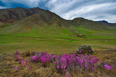 Similar image 21696435