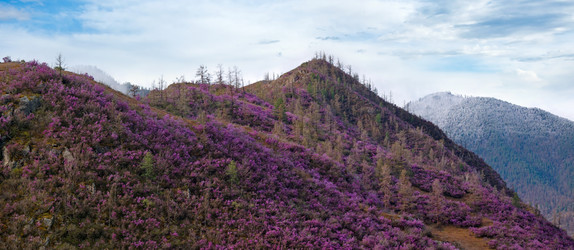 Similar image 21696437