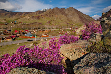 Similar image 21696438