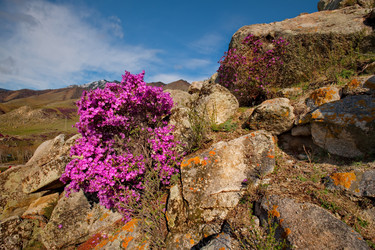 Similar image 21696439