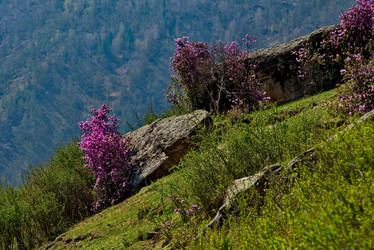 Similar image 21696444