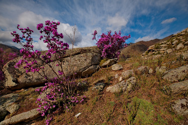 Similar image 21696445